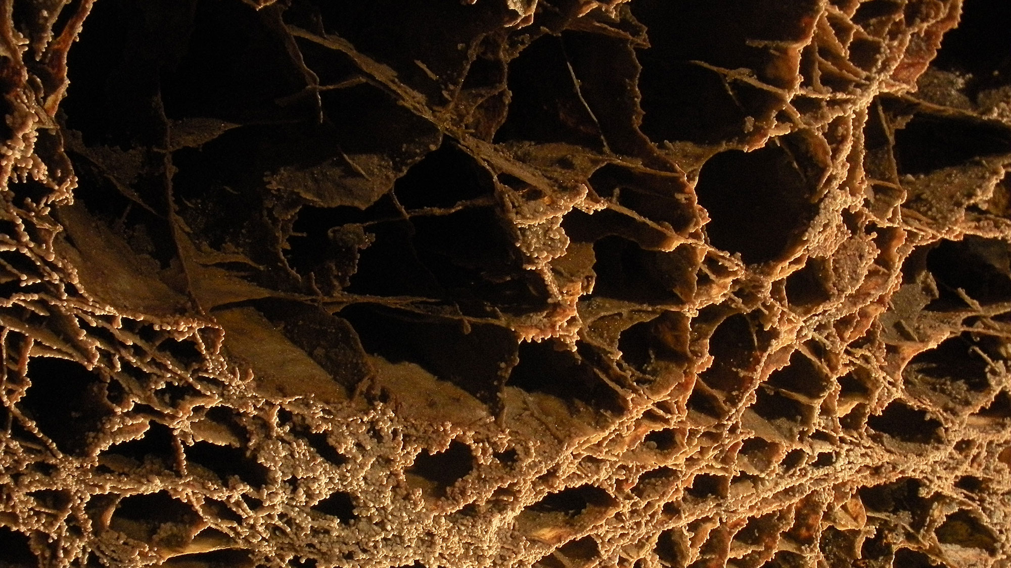 Ceiling of the Elk’s Room, part of Wind Cave National Park in South Dakota